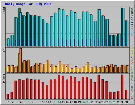 Daily usage for July 2024