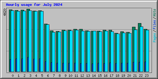 Hourly usage for July 2024