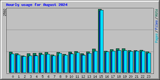 Hourly usage for August 2024